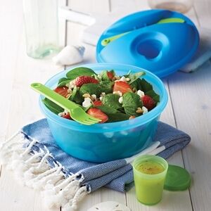 Tupperware Salad On The Go Set